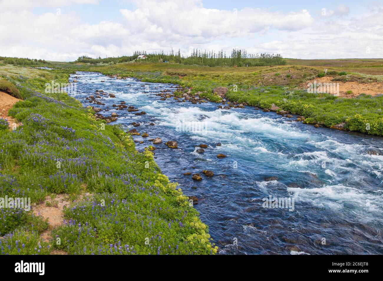 Icelandic landscape with blue water stream Stock Photo - Alamy
