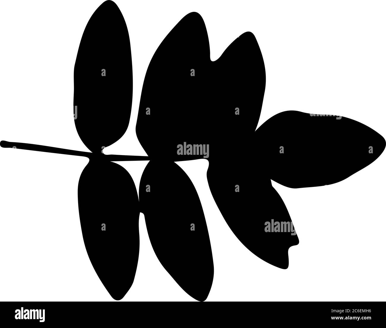 vector, isolated silhouette leaf of tree Stock Vector Image & Art - Alamy