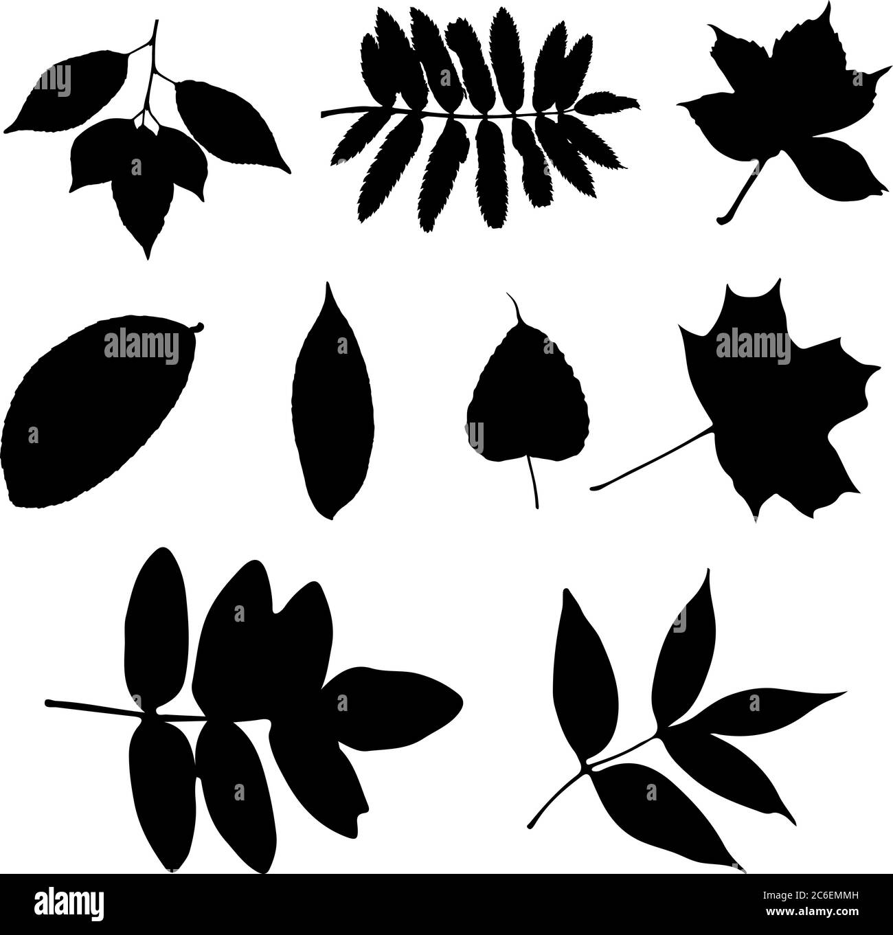 vector set of tree leaves silhouettes Stock Vector Image & Art - Alamy