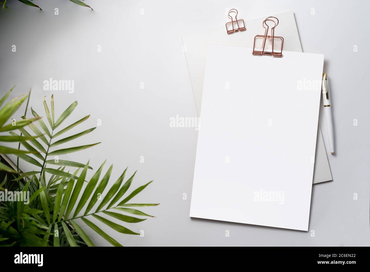Blank corporate identity stationery set, personal branding mockup template. Sheets of paper, fountain pen and office supplies, decorated with a living Stock Photo