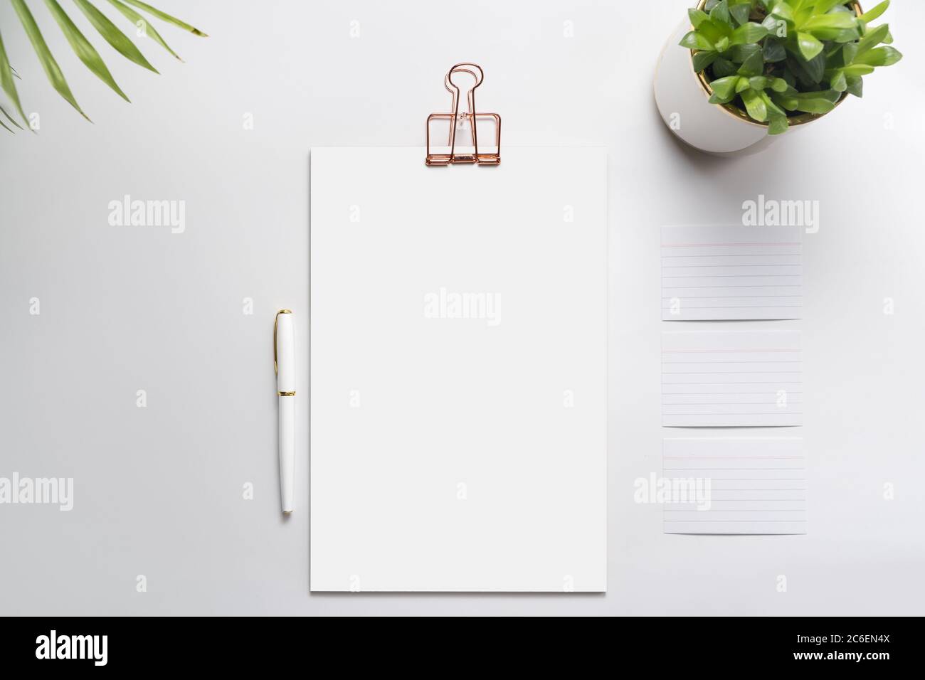 Blank corporate identity stationery set, personal branding mockup template. Sheets of paper, fountain pen and office supplies, decorated with green pl Stock Photo