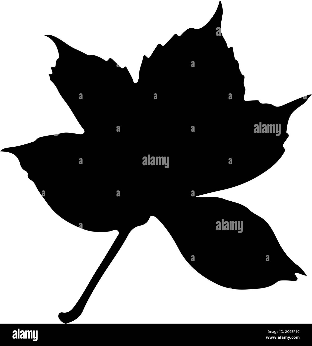 vector, isolated silhouette leaf of tree Stock Vector Image & Art - Alamy
