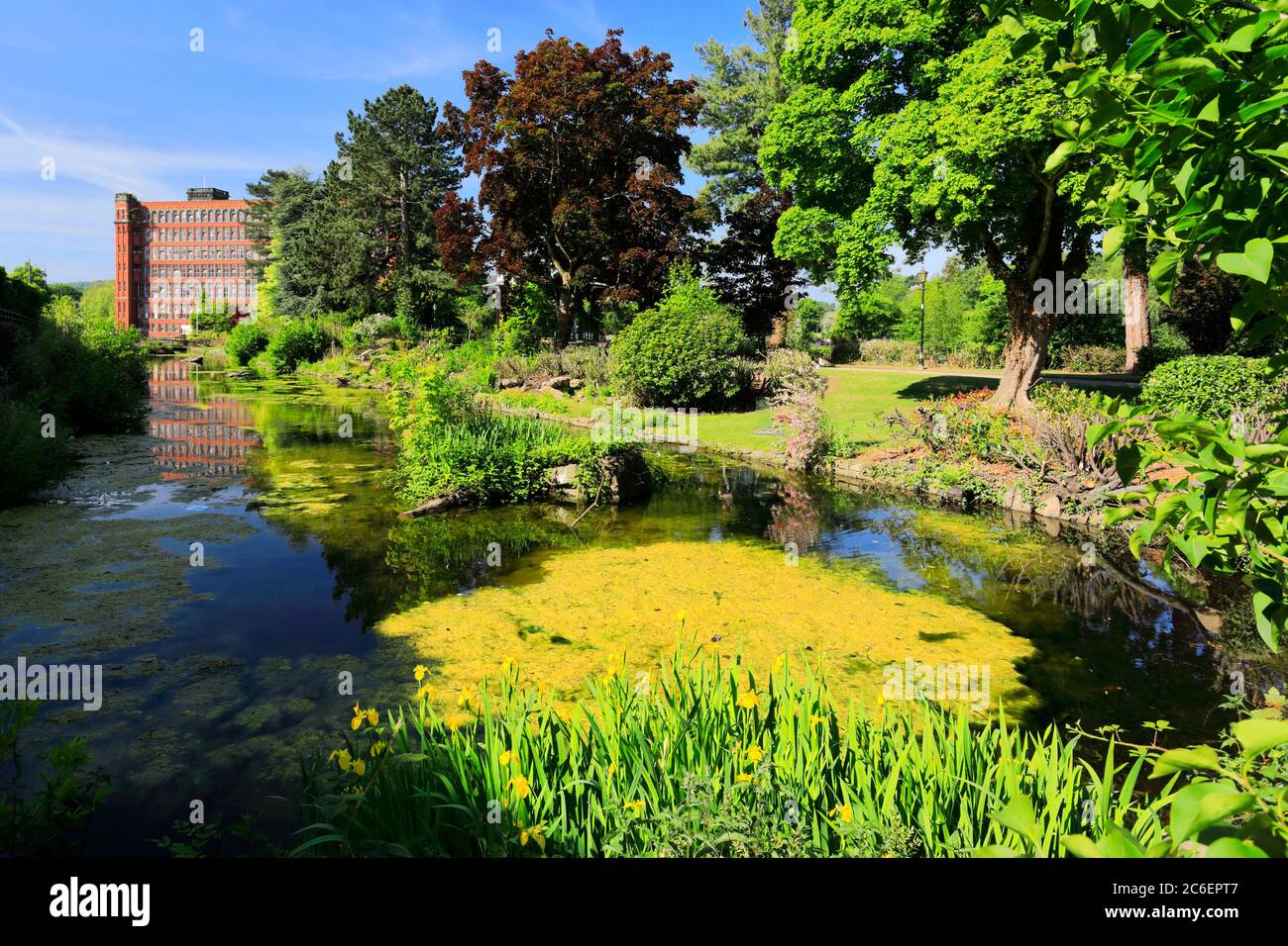 Spring view of the Gardens on the river Derwent, Belper village, in the Amber Valley, Derbyshire Dales, England, UK Stock Photo