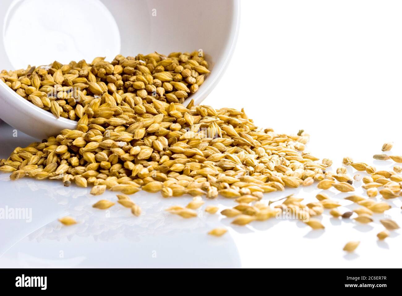 Rye corn seeds macro hi-res stock photography and images - Alamy