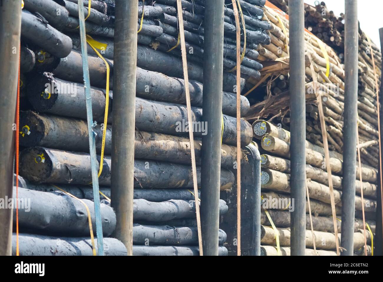 creosote wooden poles stacked onto a truck concept timber industry in South Africa Stock Photo