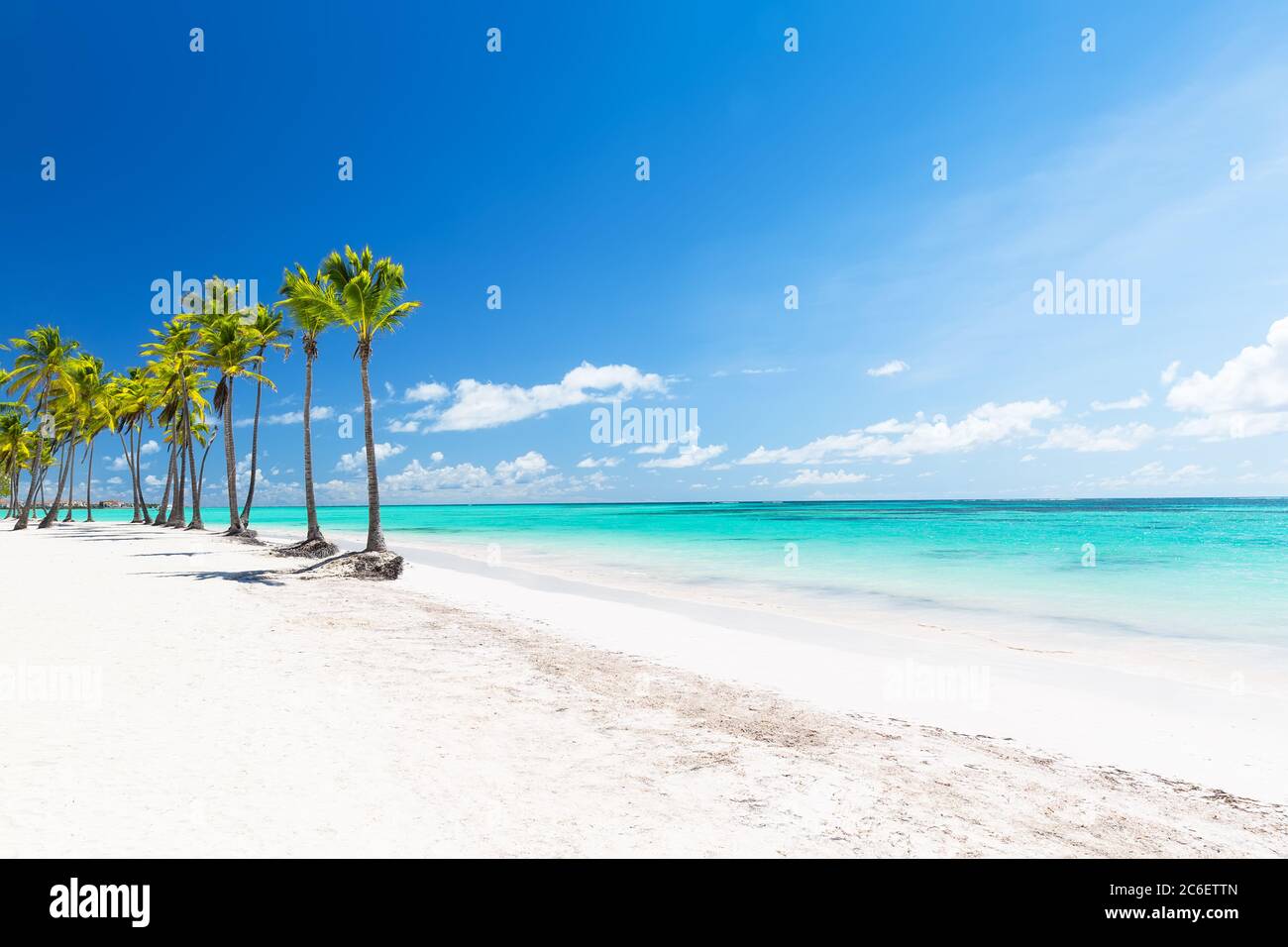 Coconut Palm trees on white sandy beach in Punta Cana, Dominican Republic. Summer holiday concept. Tropical beach background. Stock Photo