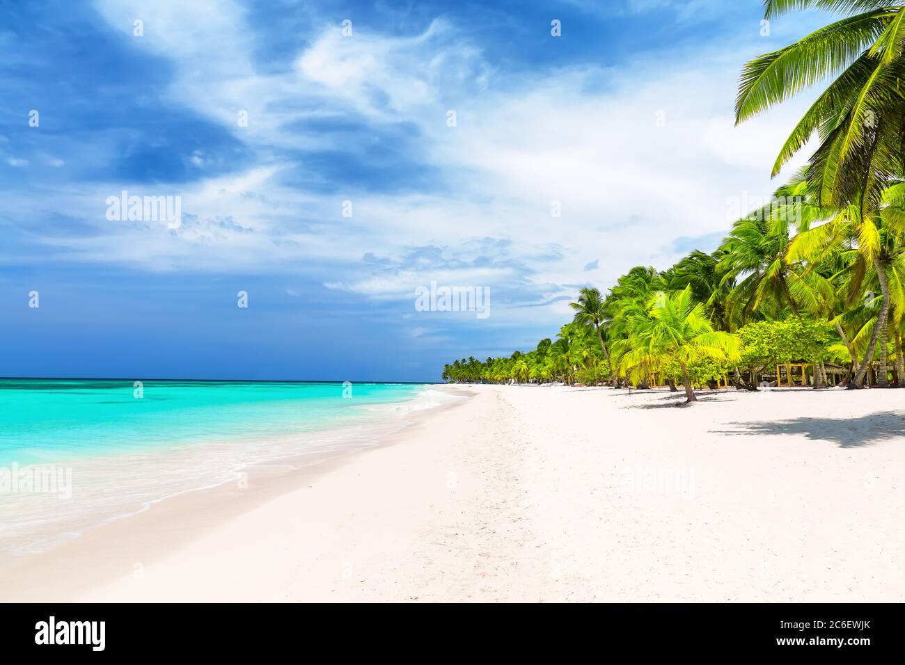 Coconut Palm trees on white sandy beach in Caribbean sea, Saona island