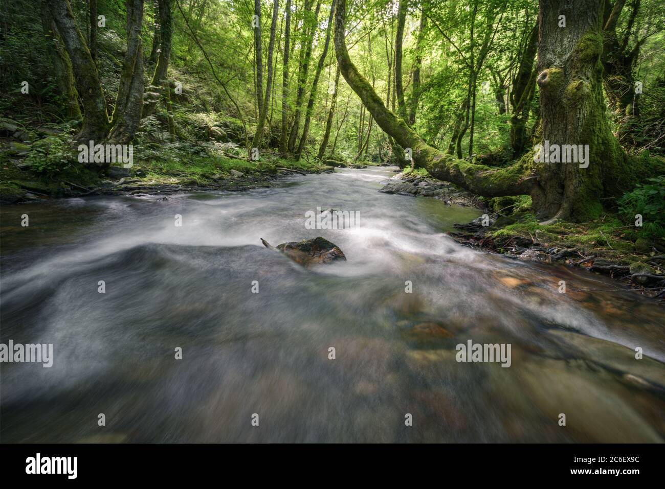 Bank of the enchanted river hi-res stock photography and images - Alamy