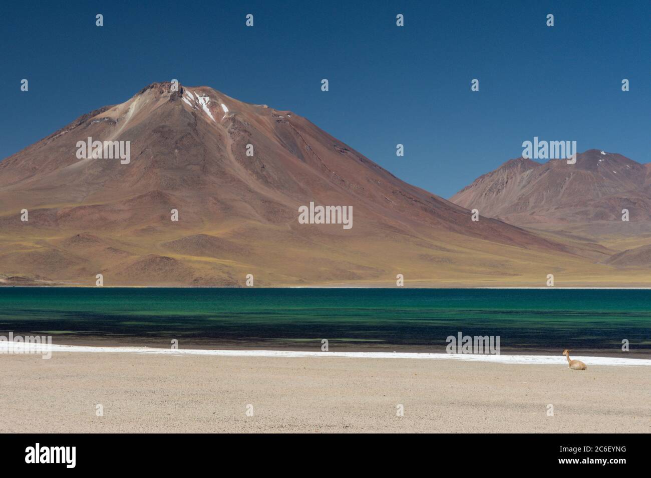 Laguna Miscanti with Volcan Lascar and Cerro Overo in the background, near Socaire in the Andes in Chile Stock Photo