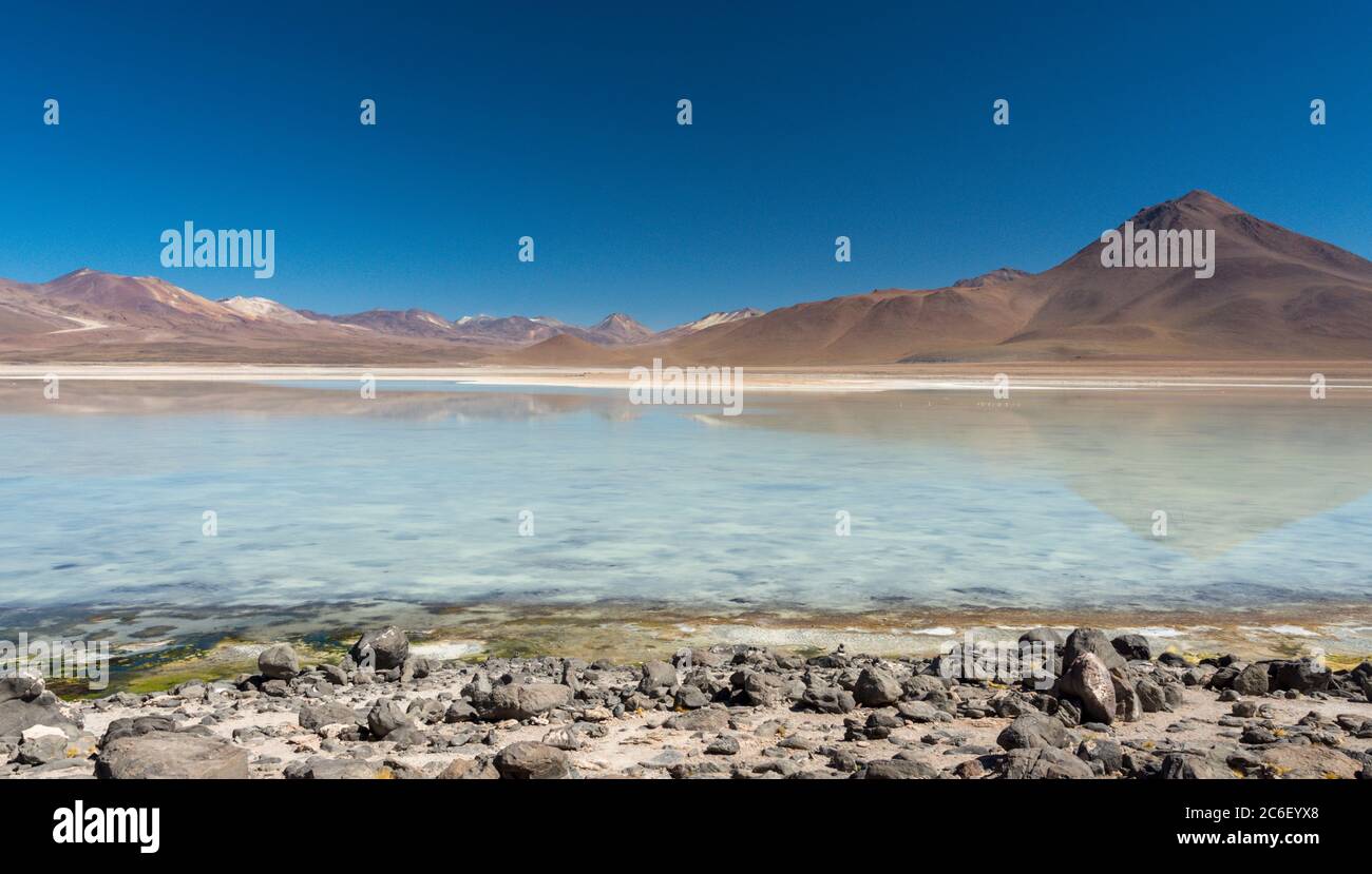 Laguna Blanca in the Reserva Nacional de Fauna Andina Eduardo Avaroa in the Andes in Bolivia Stock Photo