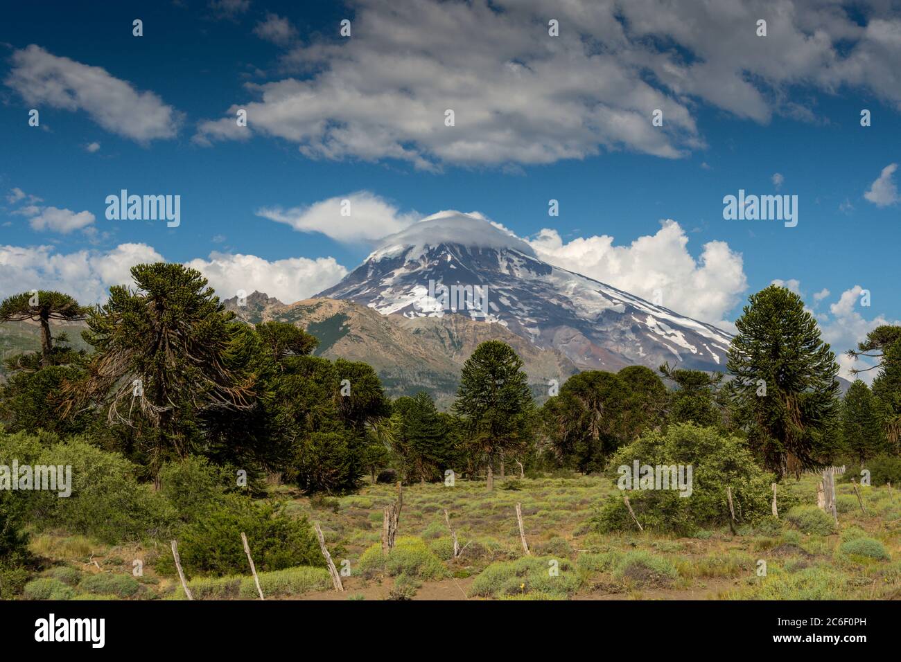 View of Volcan Lanin from Ruta 60 in the Argentinian Andes Stock Photo