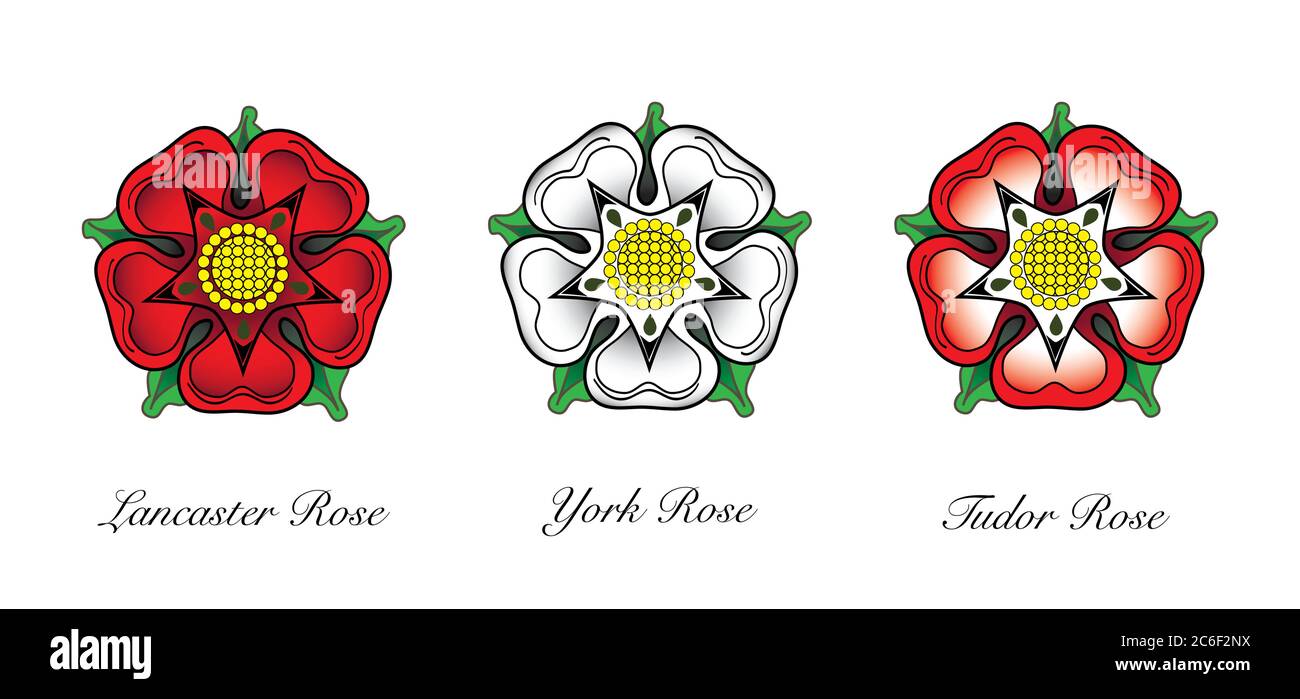 Representaions or english Rose emlems. Following the War of the Roses, the red rose of  the house of Lancaster and the White rose of the house of York Stock Vector
