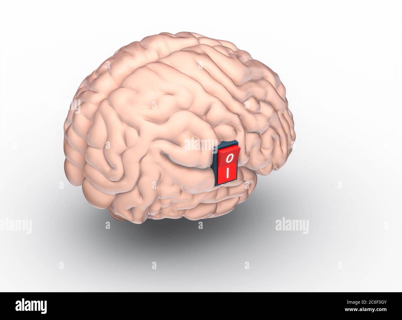 3d model render of a human brain with switch to turn it on. Stock Photo