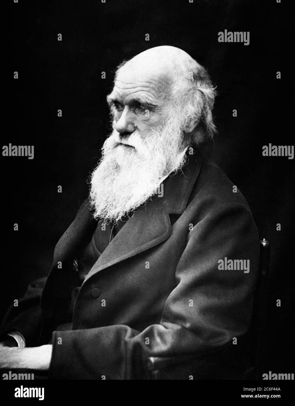 Charles Darwin, familiy portrait taken in 1868 Stock Photo