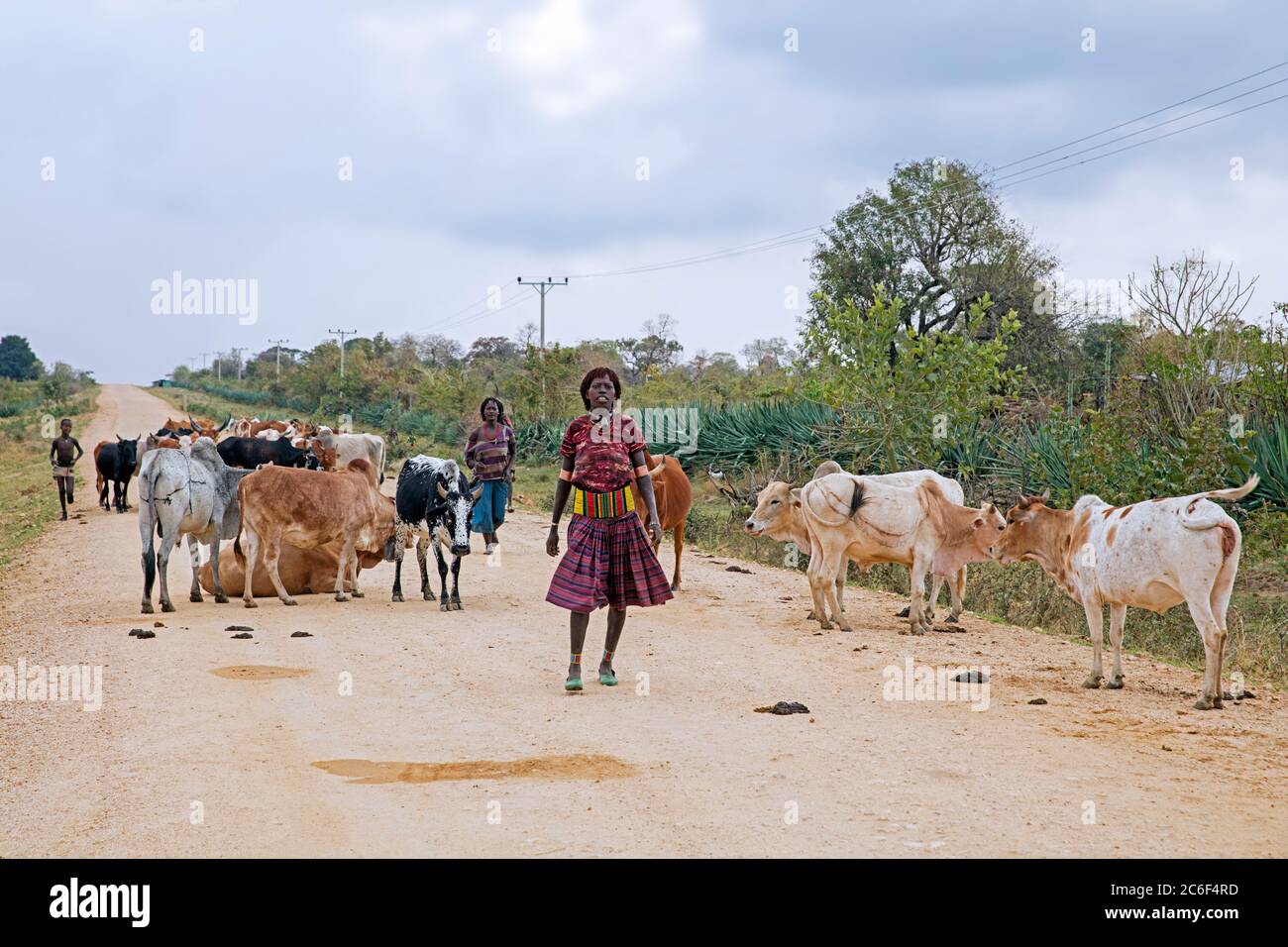 Two black women of the Banna / Banya tribe herding cattle along dirt road in the Lower Omo Valley, Debub Omo Zone, Southern Ethiopia, Africa Stock Photo