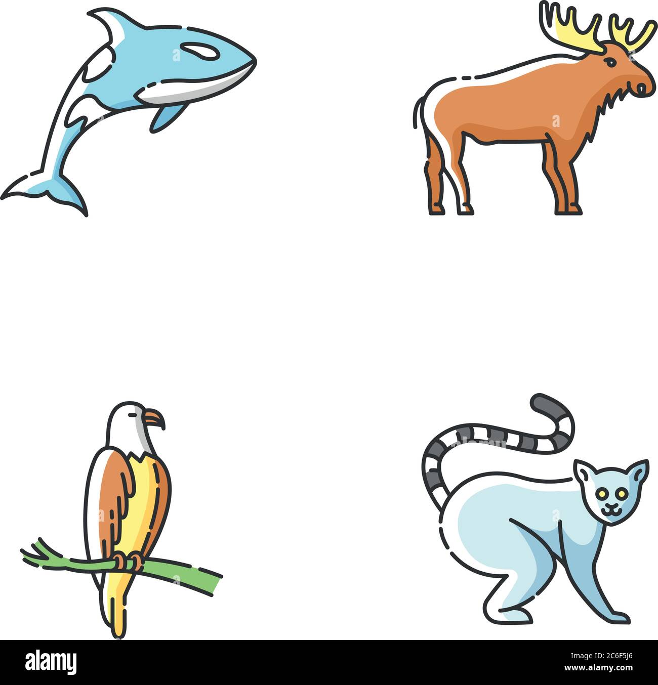 Different animal species RGB color icons set. Killer whale, exotic lemur,  eagle and elk. Predatory bird, land animals and sea life. Isolated vector  il Stock Vector Image & Art - Alamy