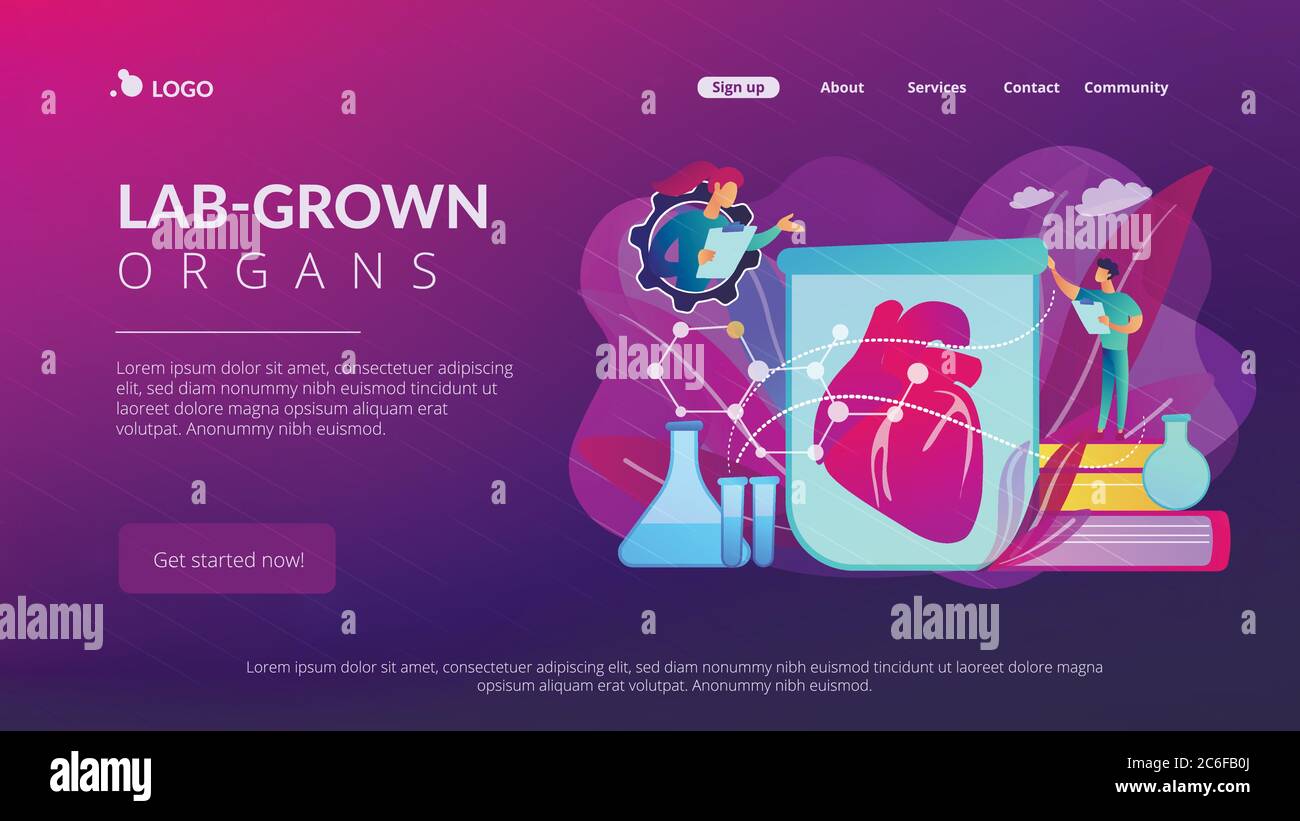 Labgrown organs concept landing page Stock Vector Image & Art Alamy
