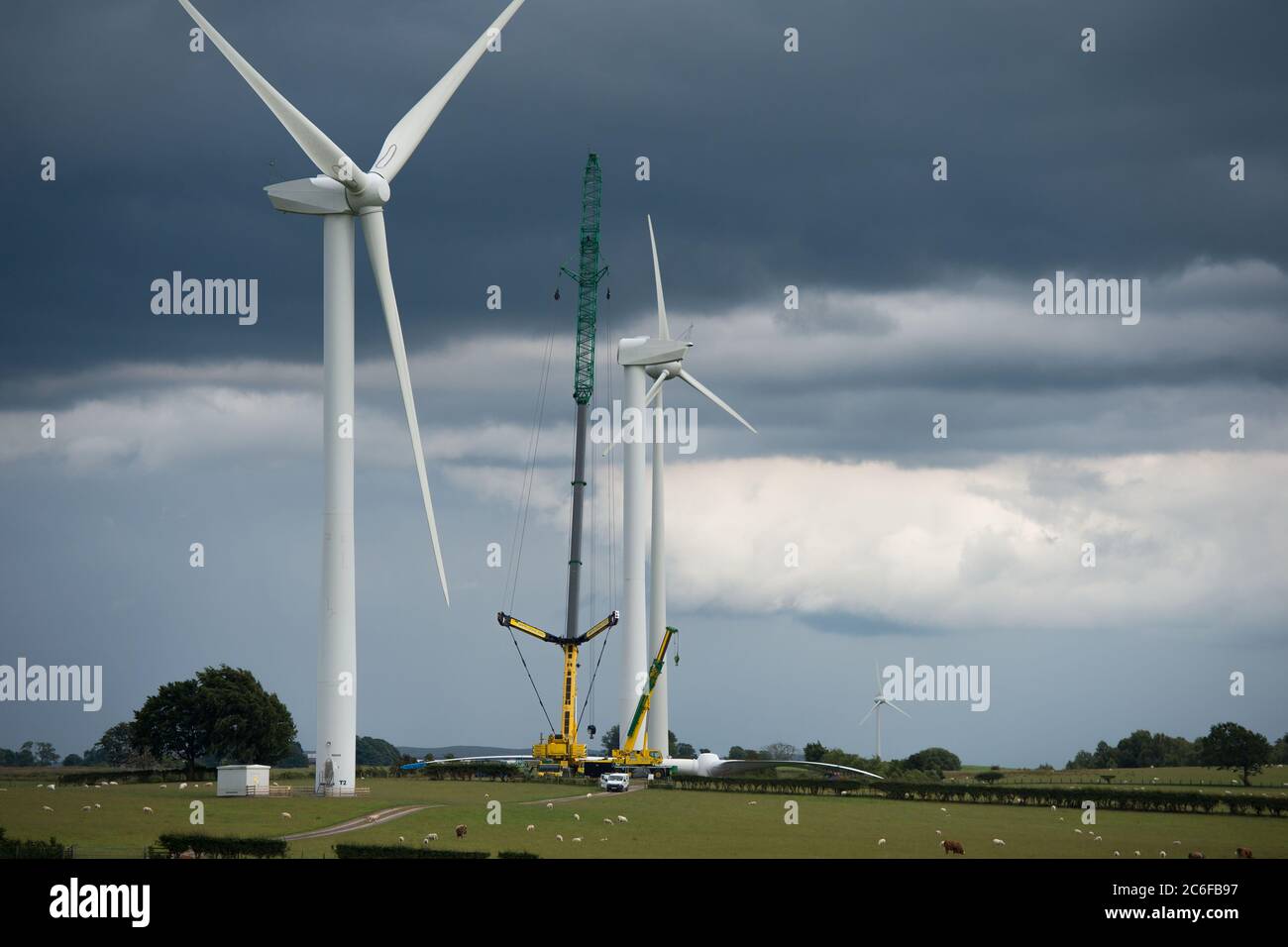 Larkhall, Scotland, UK. 9th July, 2020. Pictured: A huge wind turbine stands a few hundred feet tall whilst its blades lay on the ground ready to be attached. Green energy is is big business, and if the UK is to archive its targets for renewable energy then more wind turbines onshore and offshore need to be built. Credit: Colin Fisher/Alamy Live News Stock Photo