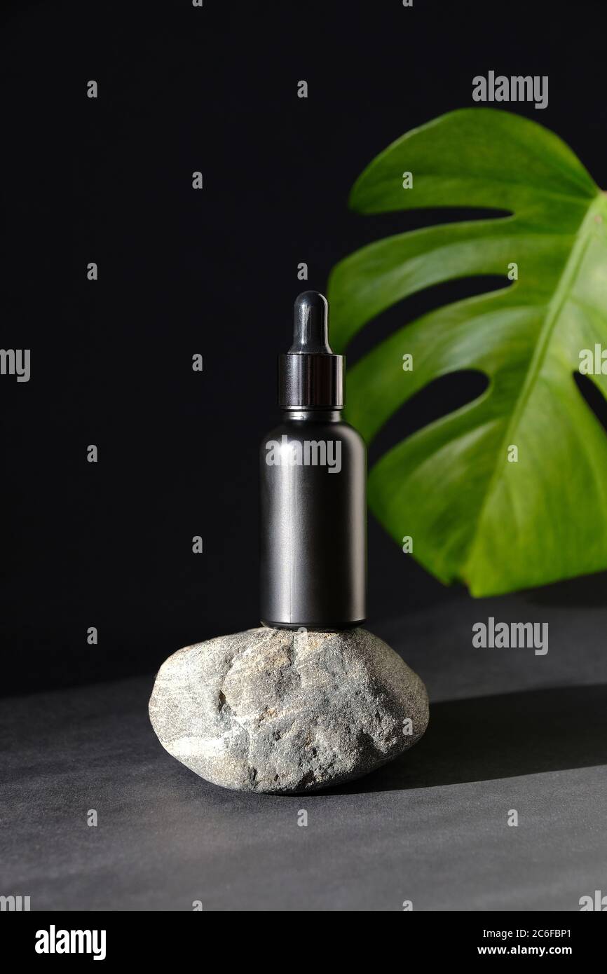 Download Black Dropper Bottle Mockup Stands On Stone And Tropical Palm Leaf On Black Background Herbal Cosmetic Natural Organic Beauty Product Essential Oil Stock Photo Alamy