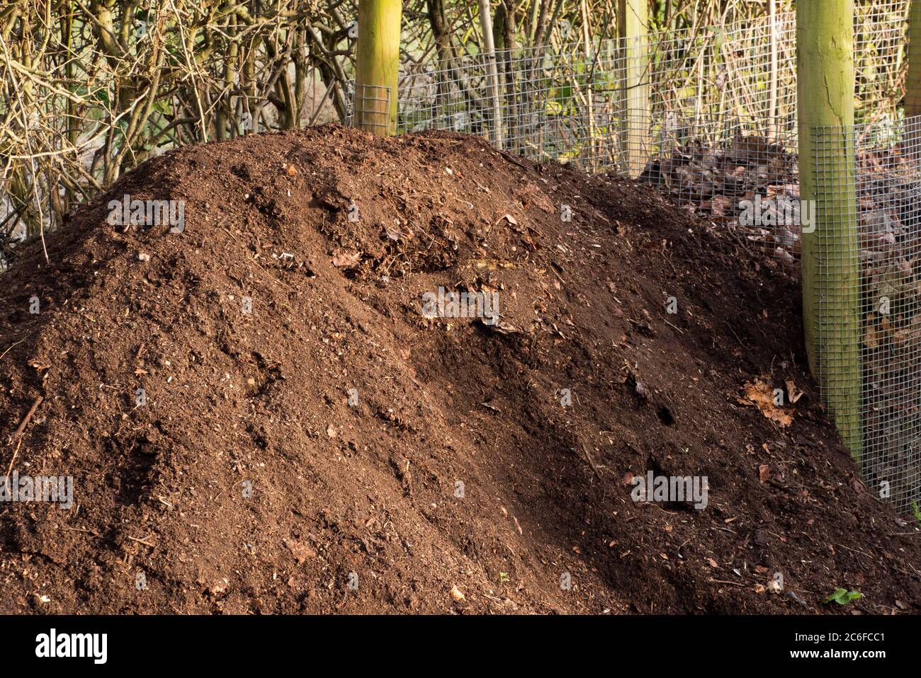 Heap of fully composted leaves in wire cage. England, UK. Stock Photo