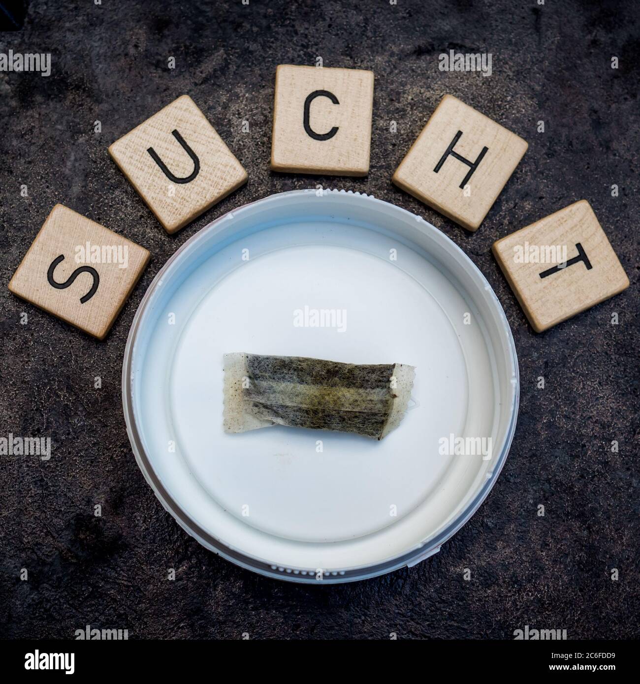 one pouch swedish chewing tobacco snus is left over in a white round box isolated on grey cast iron surface, surrounded by wooden letter tiles, sucht Stock Photo