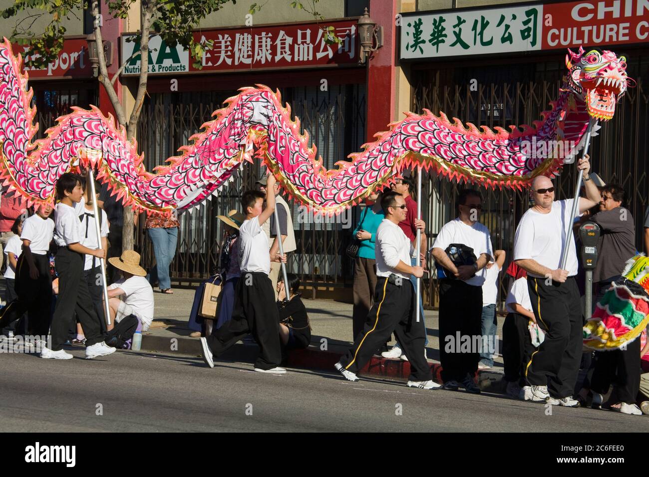 dragon parade a chinese new year story