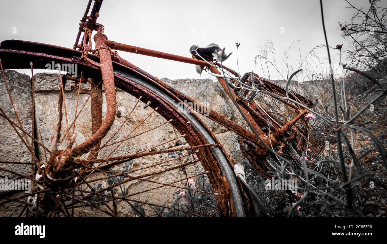 melancholic photography of a forgotten rusty bicycle laying between dry shrubs at a weathered wall Stock Photo