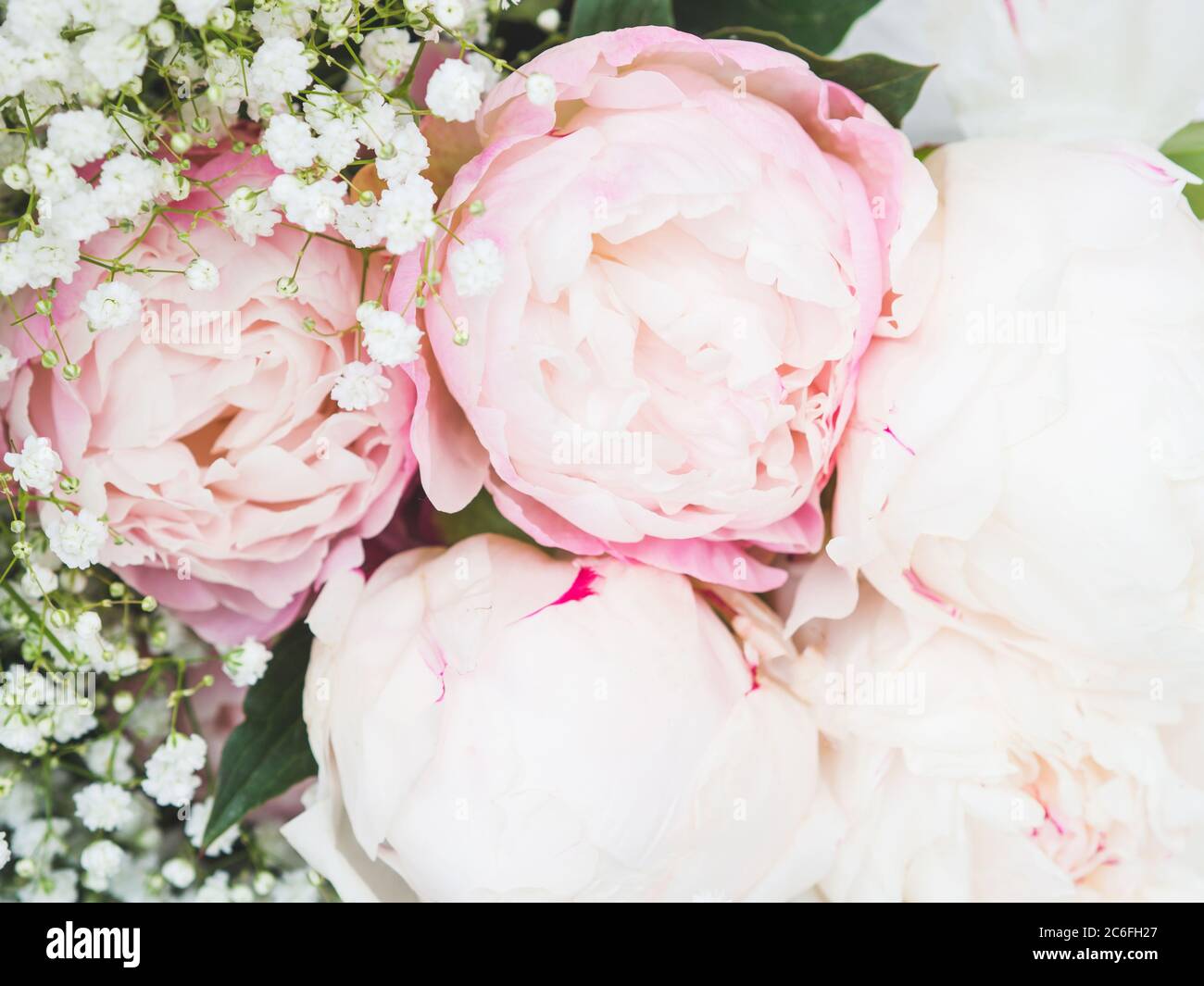 Bouquet pink peonies wrapped hi-res stock photography and images - Alamy