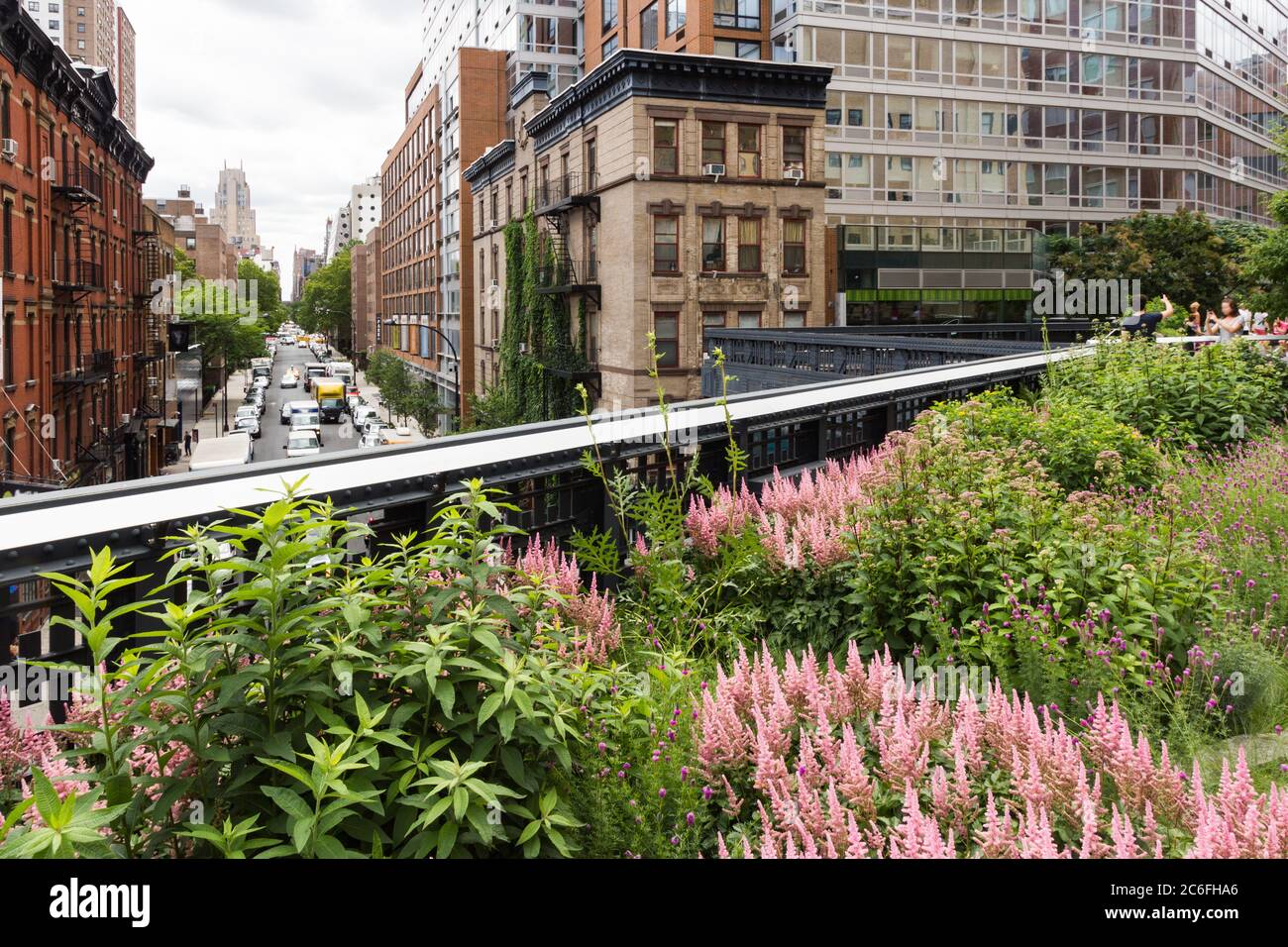 Elevated view from The High Line down West 17th Street, New York, USA. Foreground shows the vibrant flowers and shrubs planted in the park Stock Photo