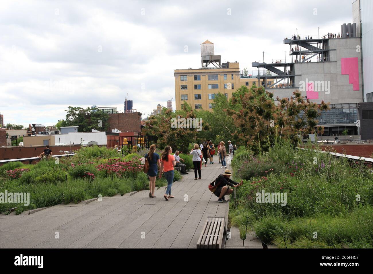29th June, 2015, scene of people enjoying the surroundings and taking photos of the plants on the High Line park located in New York, USA. Stock Photo