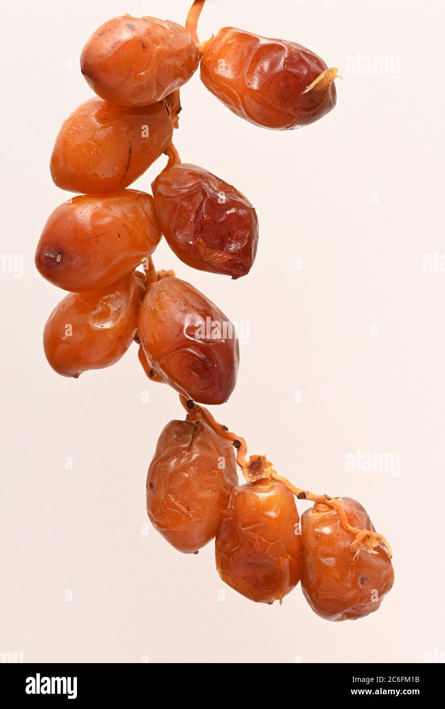 Fresh date fruit with isolated background Stock Photo