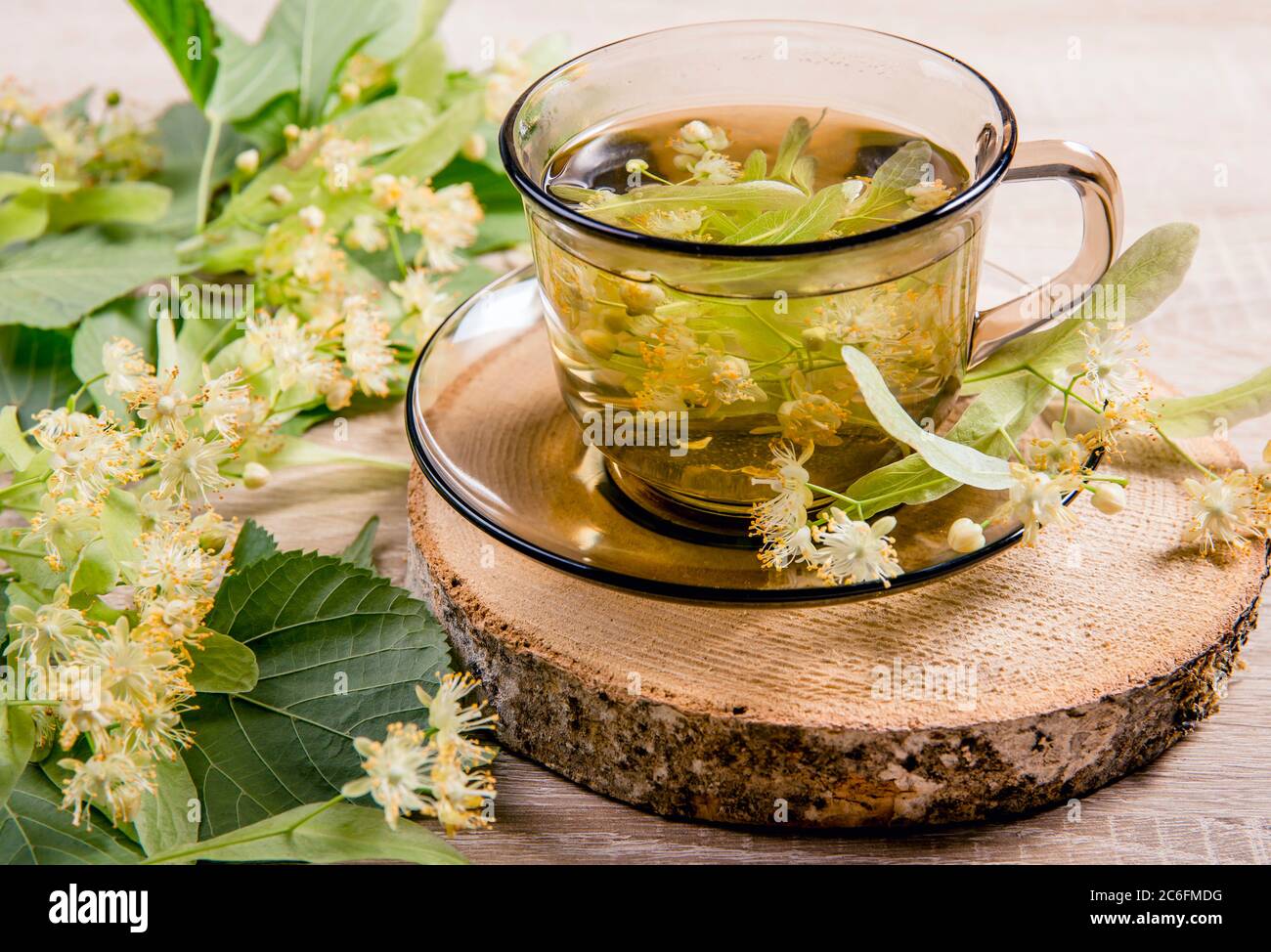 Tilia platyphyllos known as large-leaved linden herbal tea made out of an freshly picked blossoms with tree leaves and branches with blossoms for deco Stock Photo