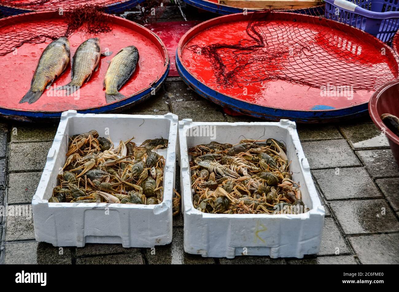 Crayfishes in boxes are ready for sale. They are hunted from Ulubat Lake. Stock Photo