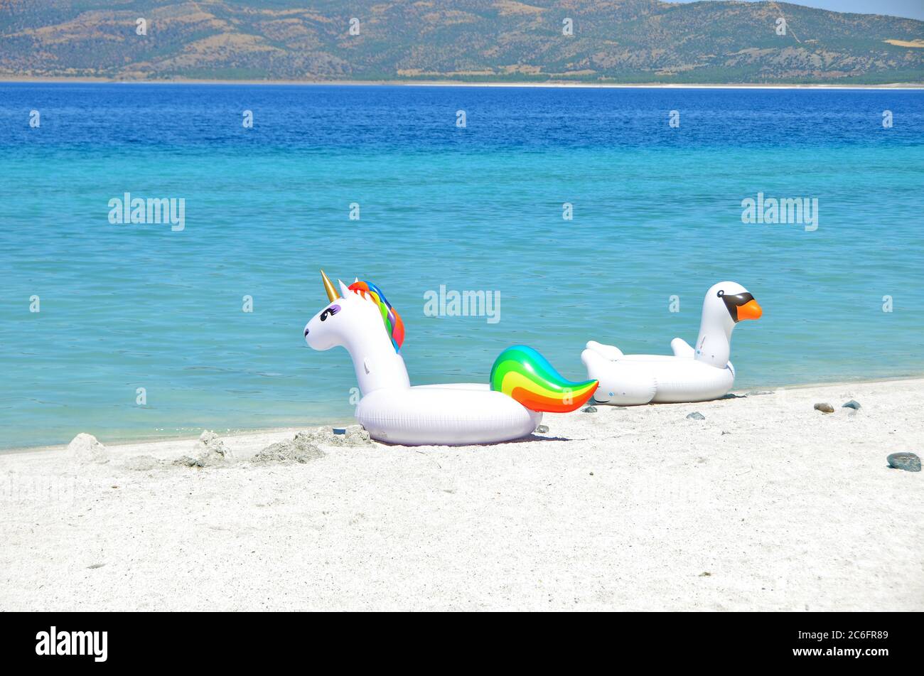 Unicorn and goose bird swim tube on the beach, Inflatable unicorn and goose  bird Stock Photo - Alamy