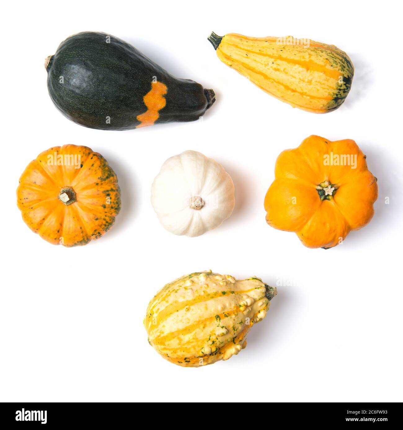 Decorative mini pumpkins isolated on white background, top view Stock Photo