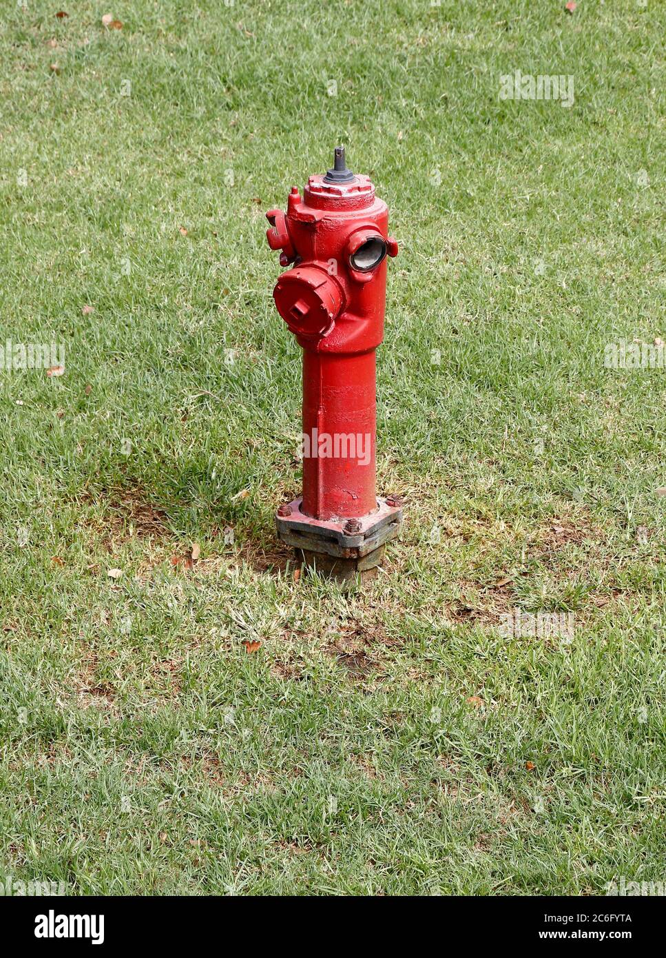 Red Fire Hydrant on green patch Stock Photo Alamy