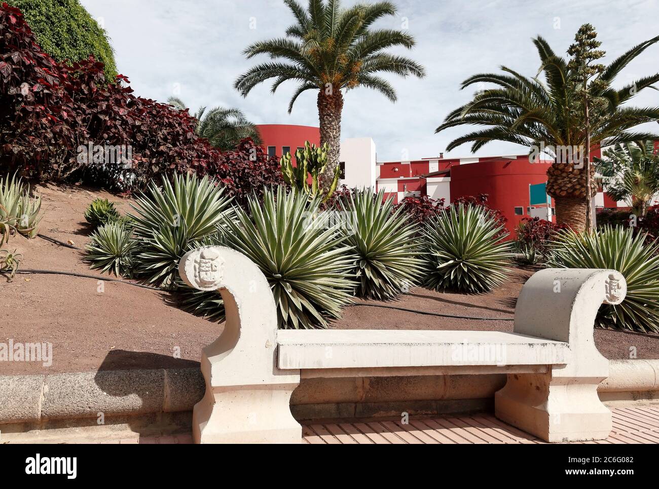 Mediterranean Palm Trees and Plants Stock Photo Alamy