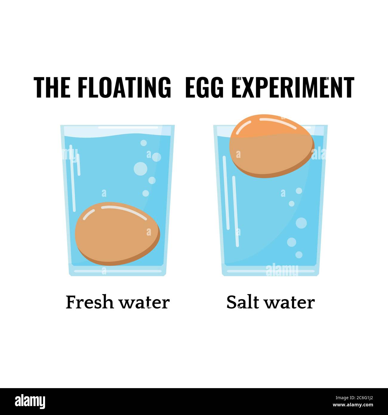 Freshness test for eggs Cut Out Stock Images & Pictures Alamy