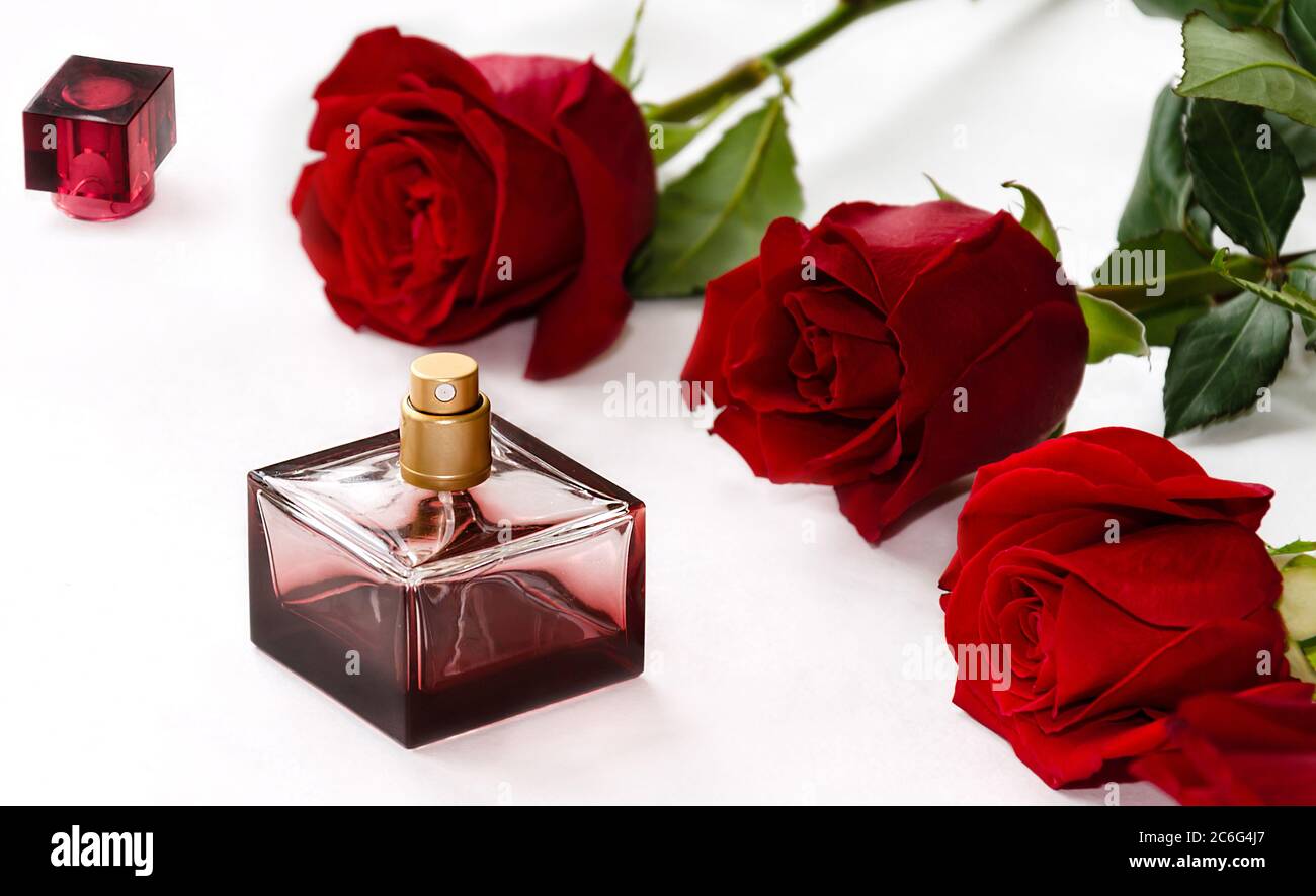 perfume bottle with red roses on a white background, closeup Stock Photo