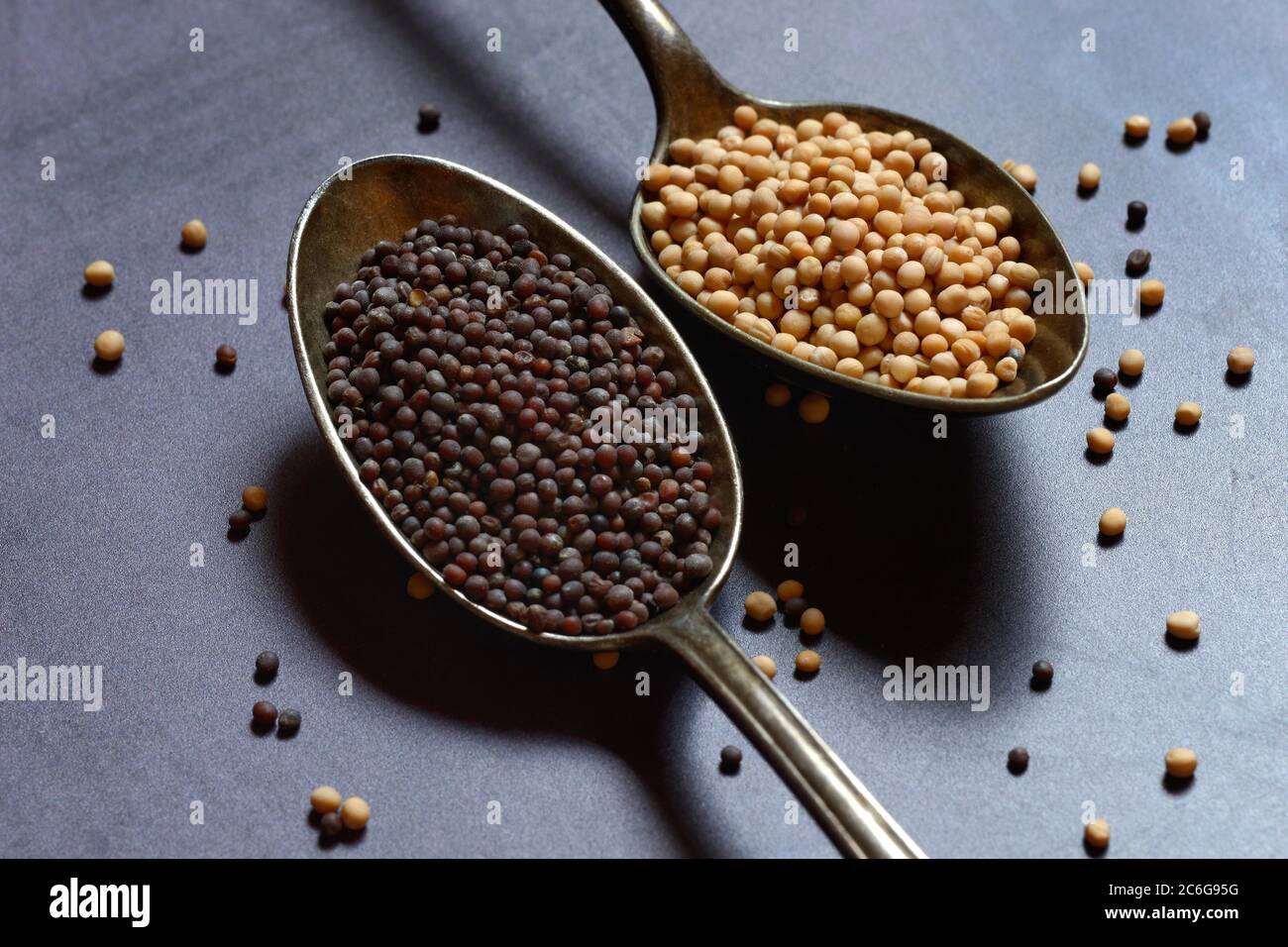 Black and white mustard seeds in spoon, Germany Stock Photo Alamy