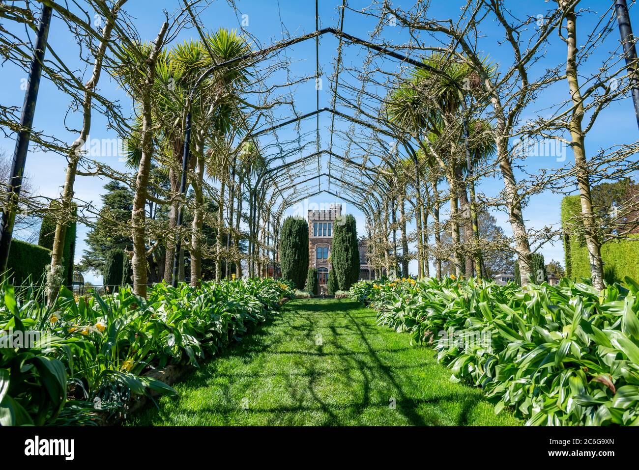 Pergola with fruit trees and view of Larnach Castle, park and castle