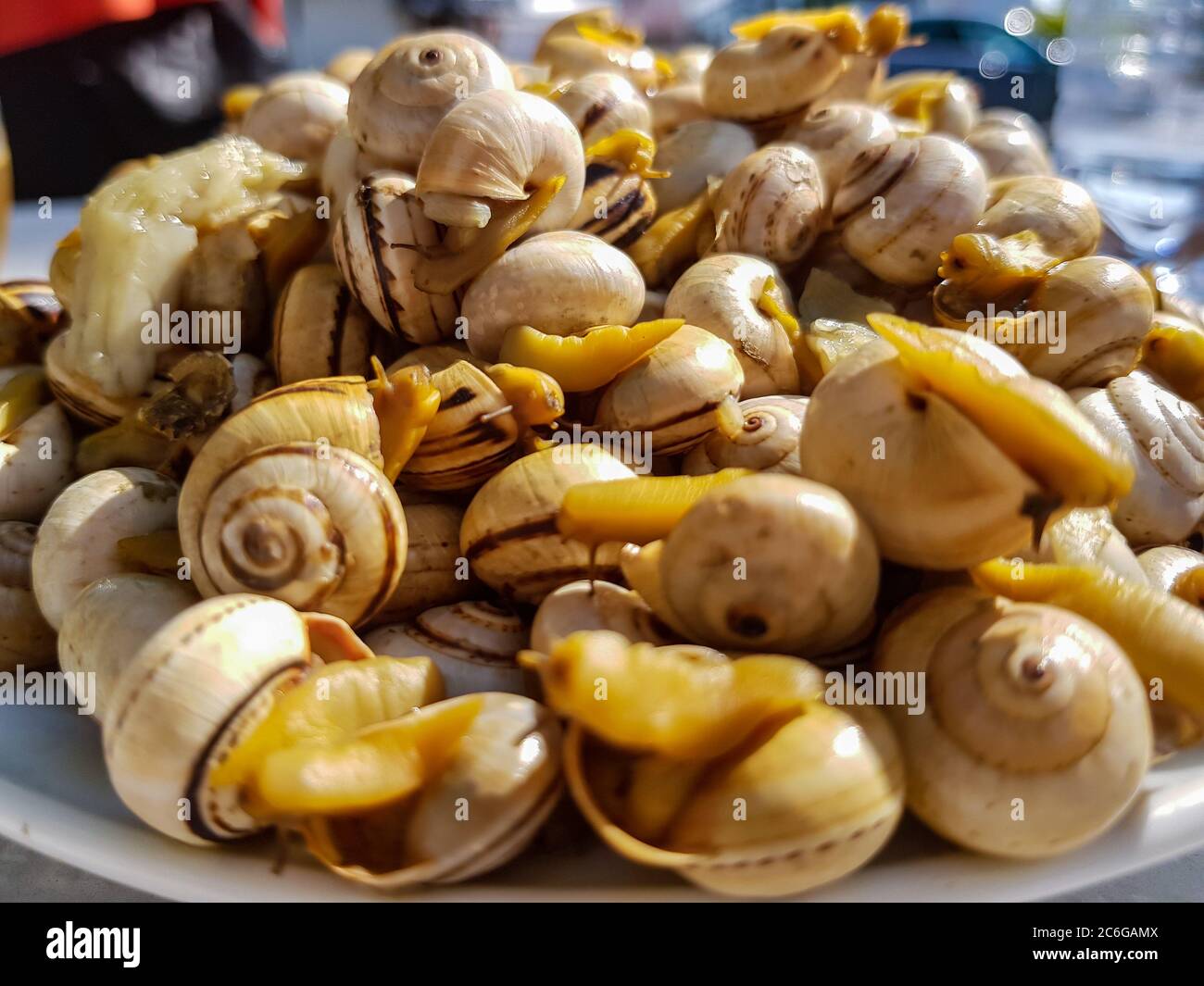 Plate with cooked snails. A Typical portuguese snack Stock Photo