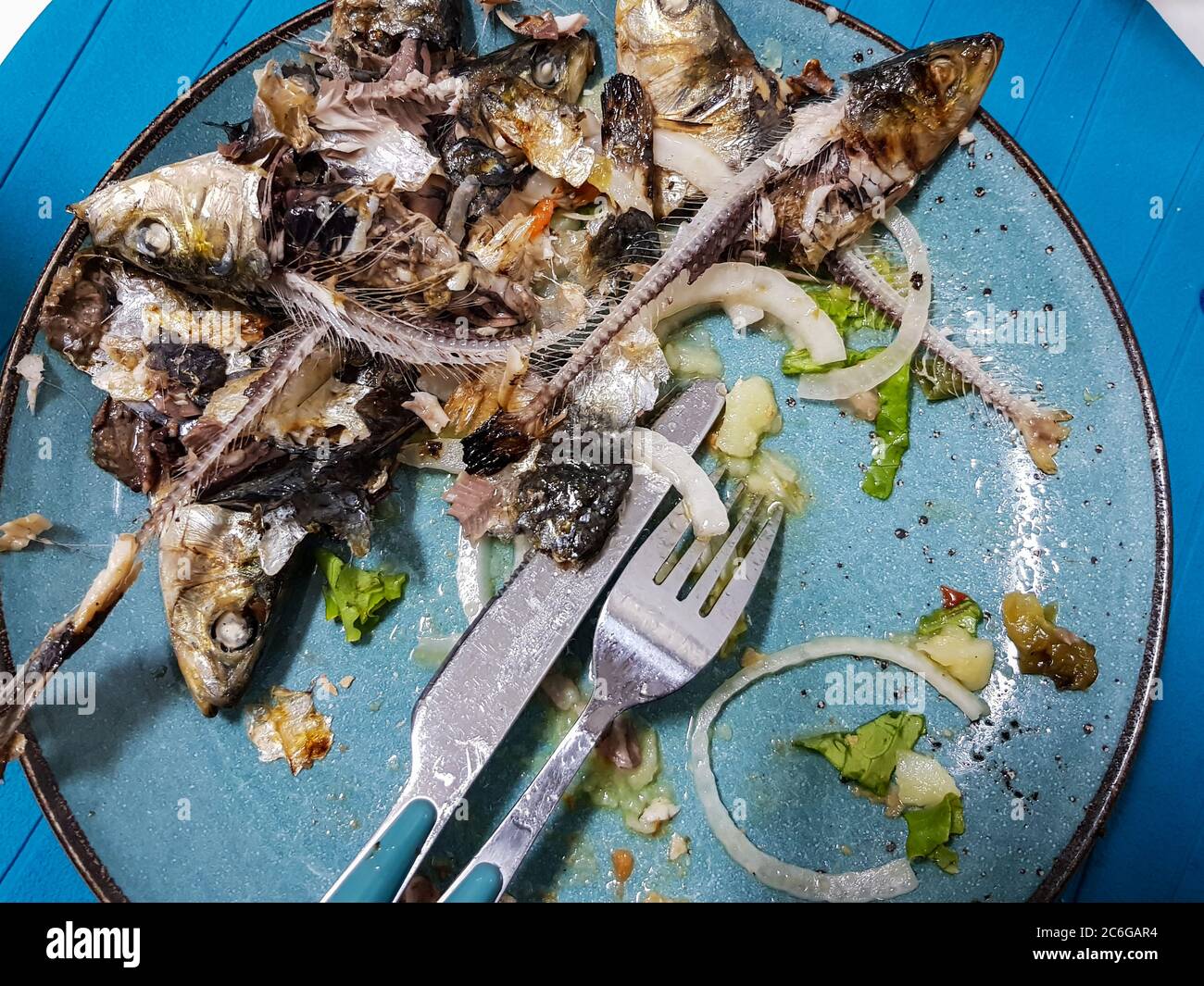 Белую рыбу съела. Нишикияма ест рыбу. Норвежская рыбу кушают до блевотины. Аксылот ана ест рыб