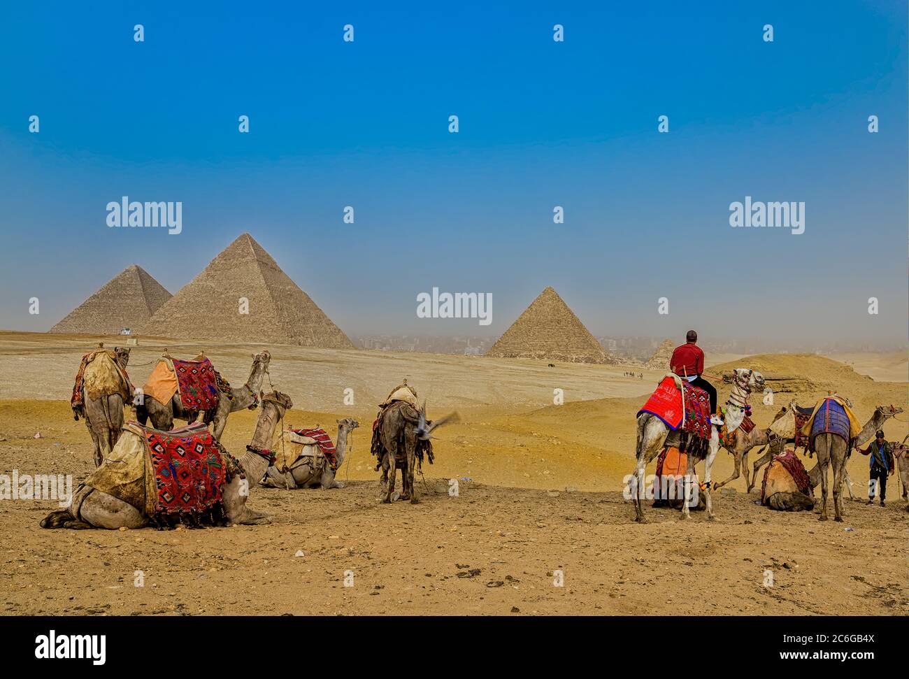 Camel caravan in the desert in front of the Great Pyramid of Giza, the Pyramid of Khafre, Pyramid of Menkaure on the Giza Plateau Stock Photo