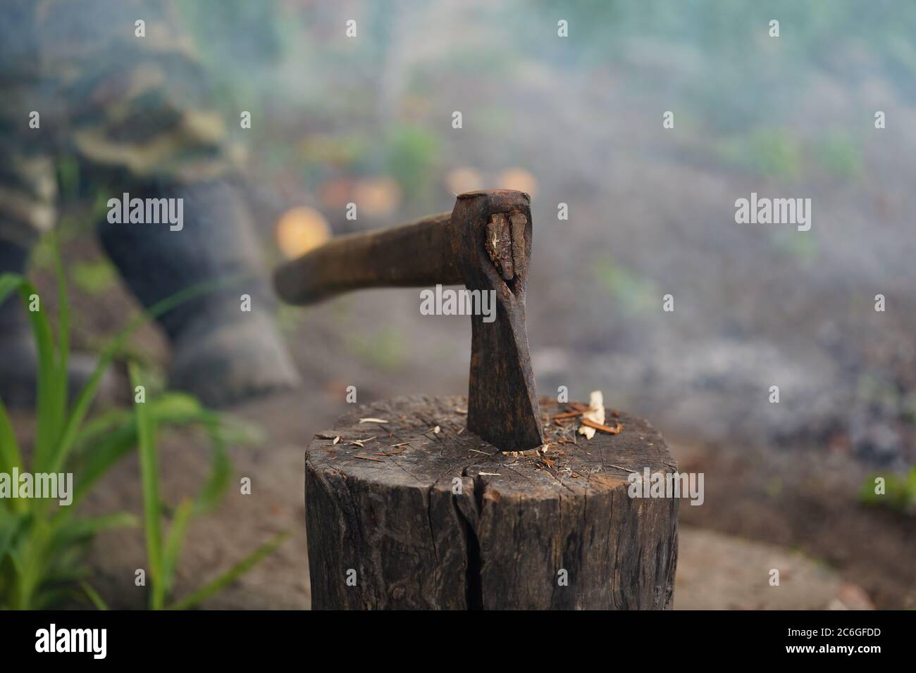 Close up of axe sticked in stump. Heavy instrument for chopping wood. Stock Photo