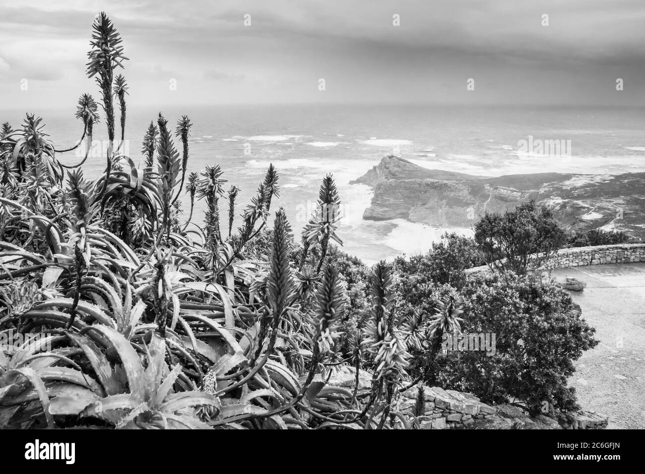 Beautiful misty sea from a view point at Cape Point Nature Reserve