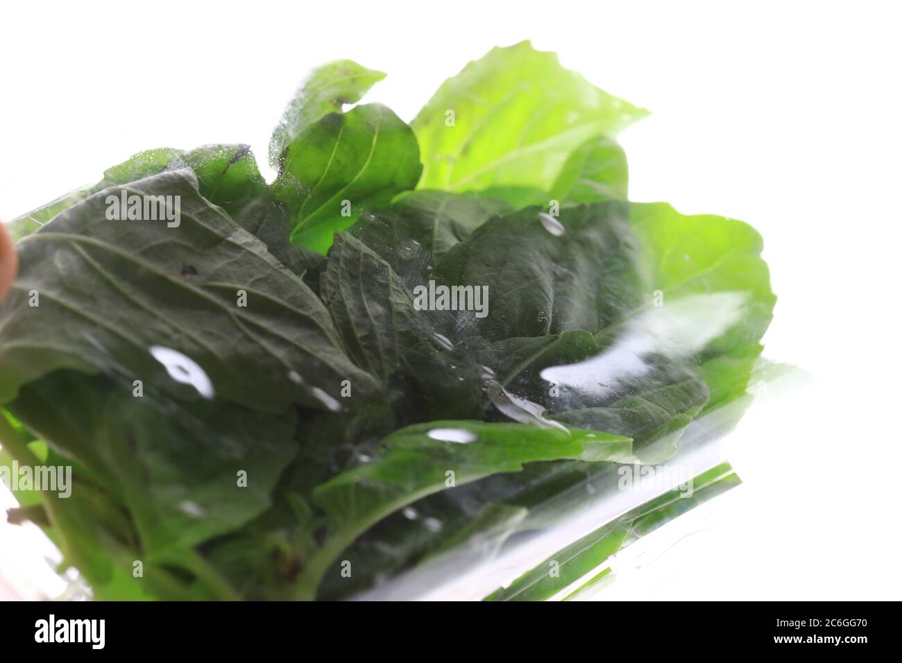 Clamshell package hi-res stock photography and images - Alamy