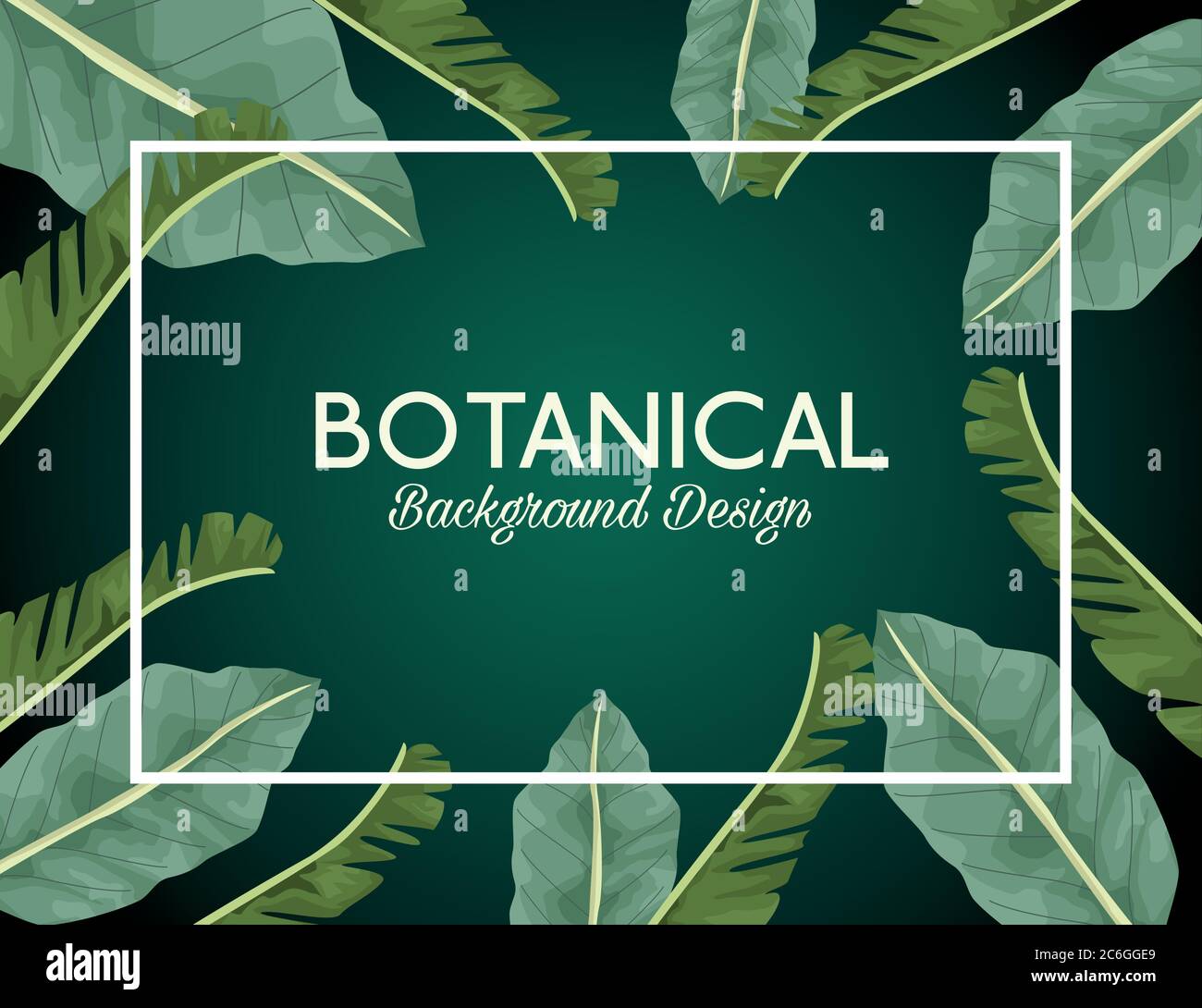 tropical leafs in square frame and lettering botanical background ...