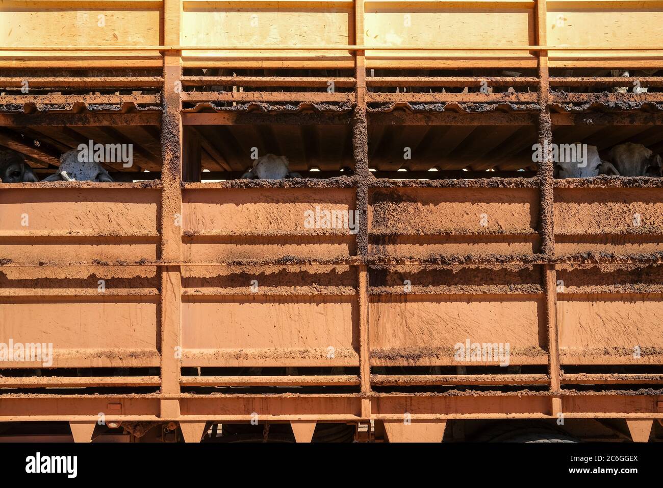 Detail of a Road Train truck transporting cattle parked on the side of the road in the Northern Territory of Australia. Stock Photo