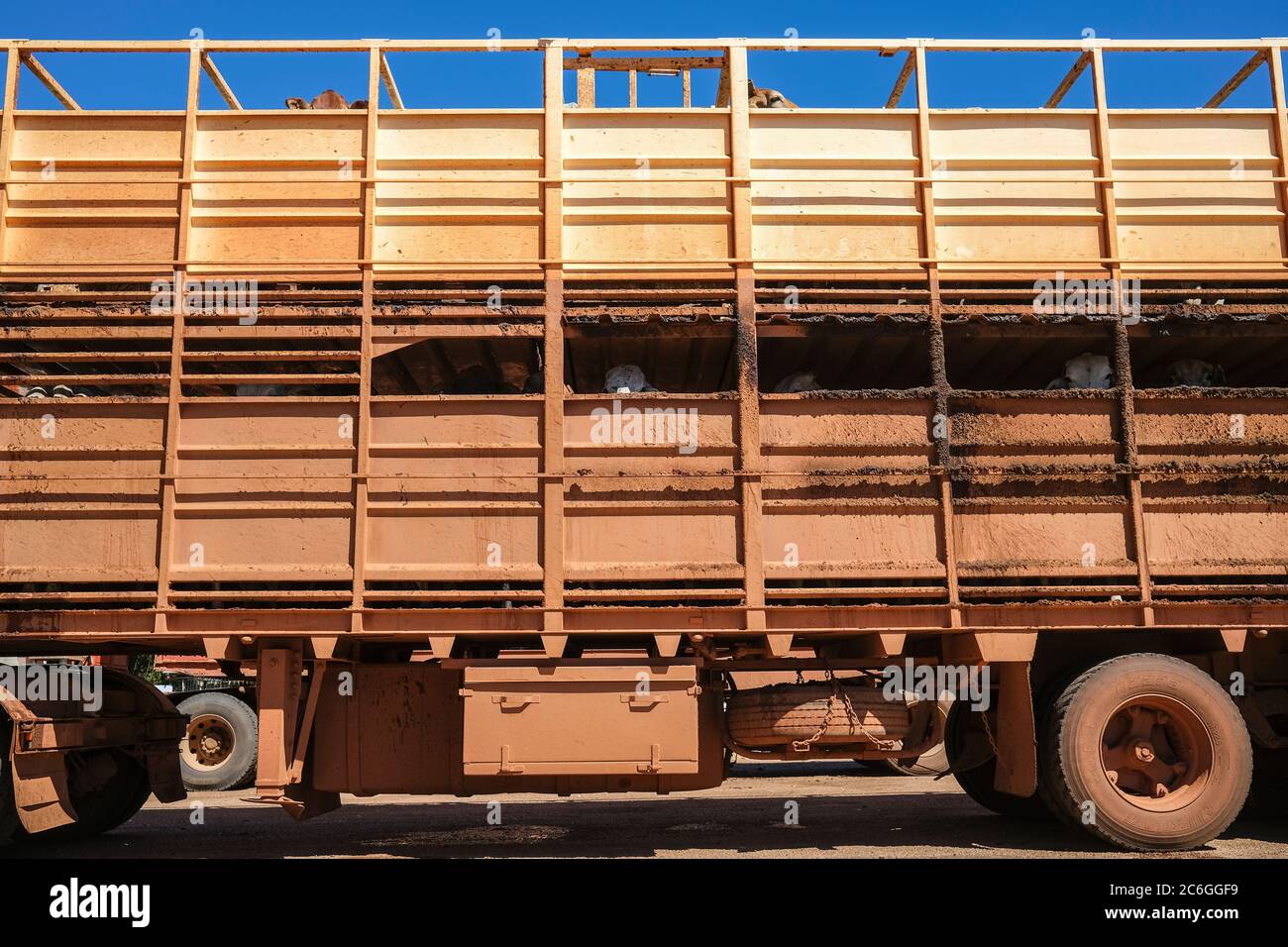Detail of a Road Train truck transporting cattle parked on the side of the road in the Northern Territory of Australia. Stock Photo